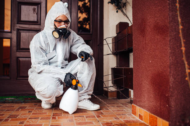 Reliable Bed Bug Control contractor in South Pasadena, FL by Nex Pest Control